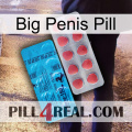 Big Penis Pill new14